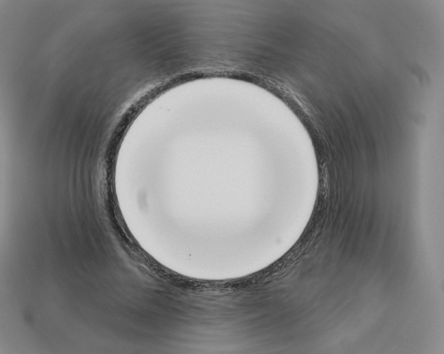 X0000112860684200910021312