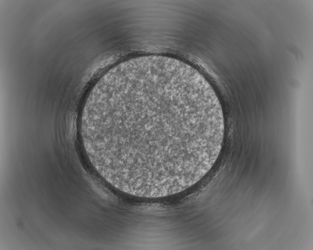 X0000112860685200910021312