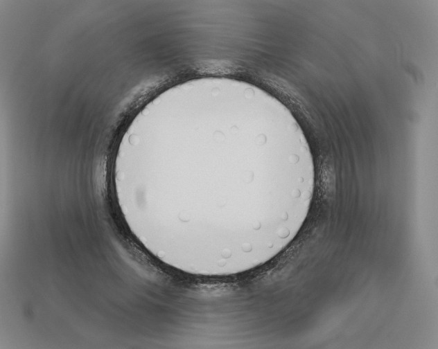 X0000112860686200910021312