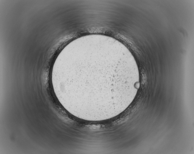 X0000112860687200910021312