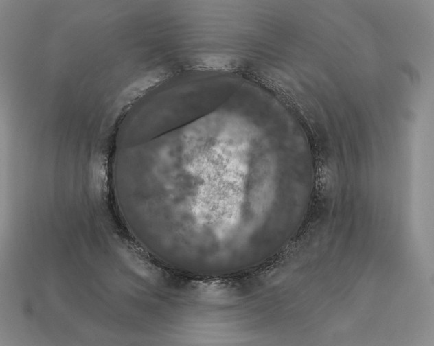 X0000112860688200910021312