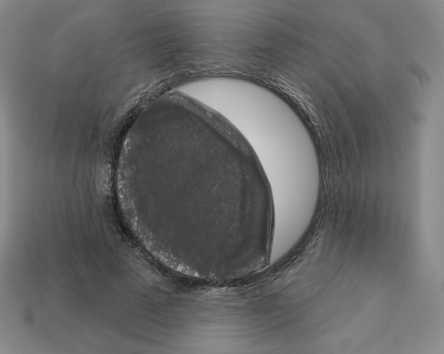 X0000112860689200910021312