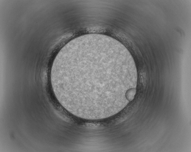 X0000112860690200910021312