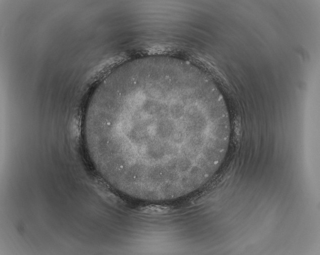 X0000112860691200910021312