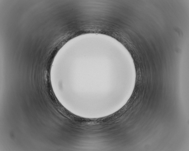 X0000112860692200910021312
