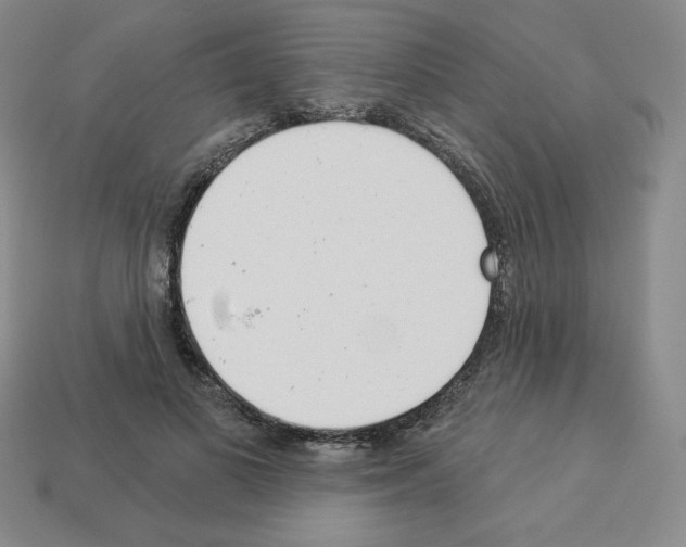 X0000112860693200910021312