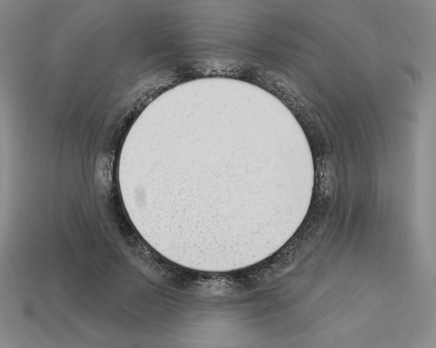 X0000112860695200910021312