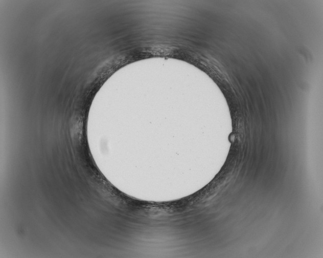 X0000112860697200910021312
