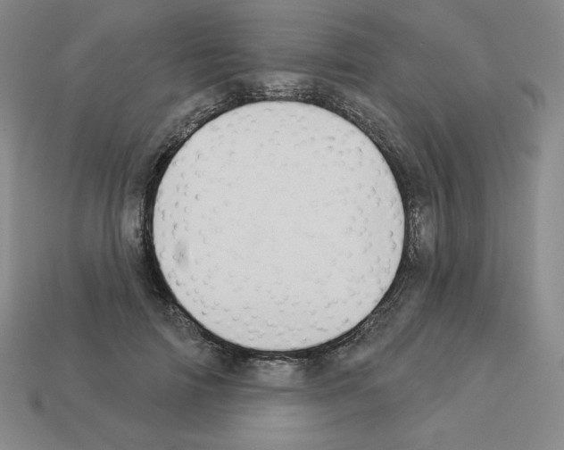 X0000112860698200910021312
