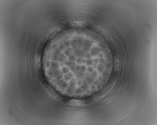 X0000112860699200910021312