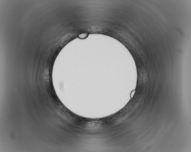 X0000112860700200910021312