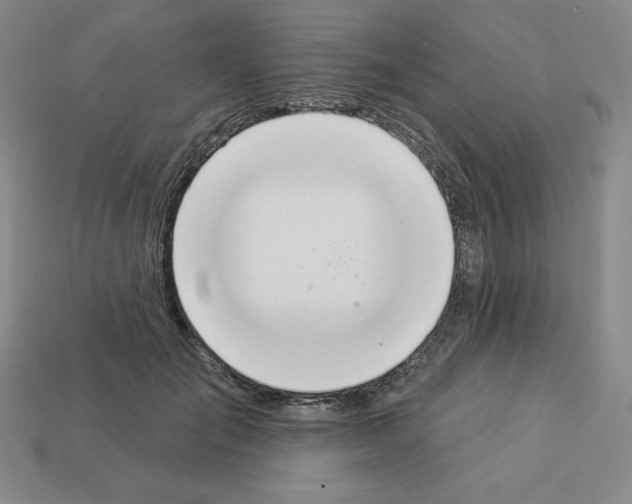 X0000112860701200910021312