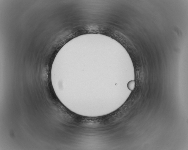 X0000112860702200910021312