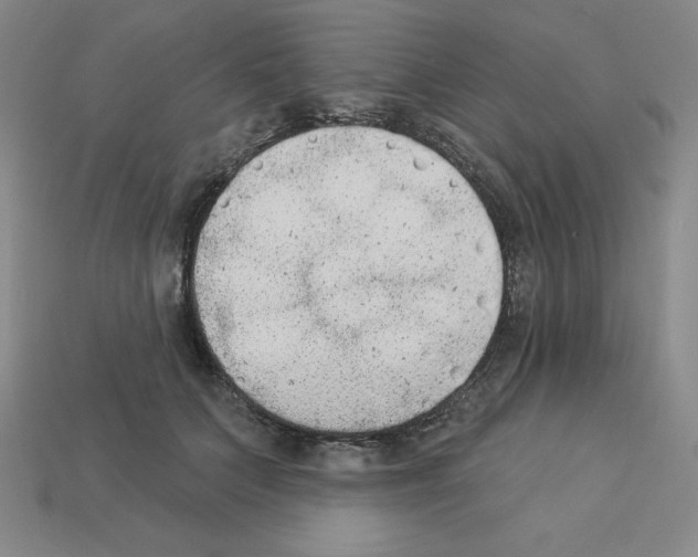 X0000112860703200910021312