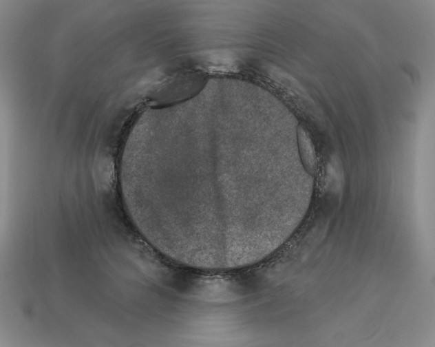 X0000112860704200910021312