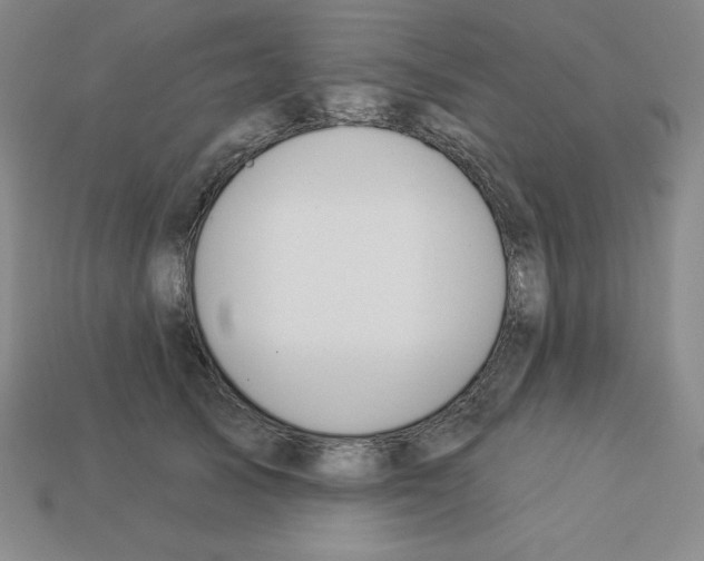 X0000112860705200910021312