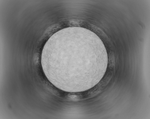 X0000112860706200910021312