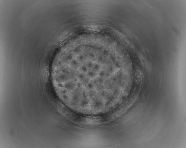 X0000112860707200910021312