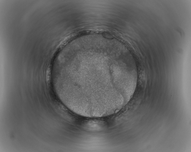 X0000112860708200910021312