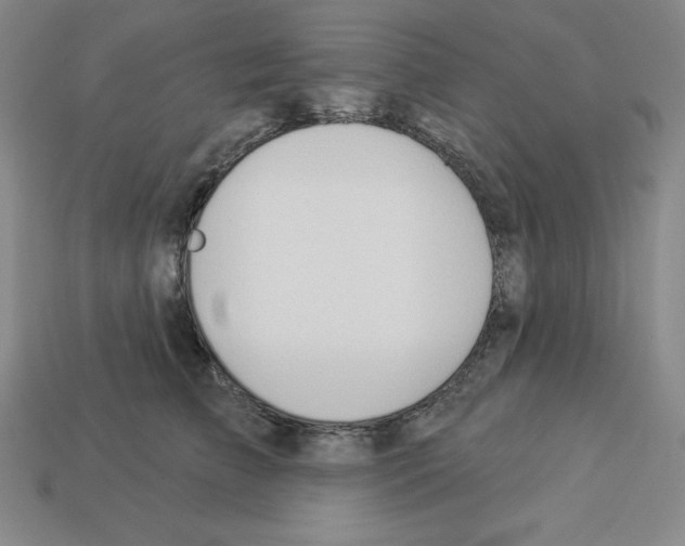 X0000112860709200910021312