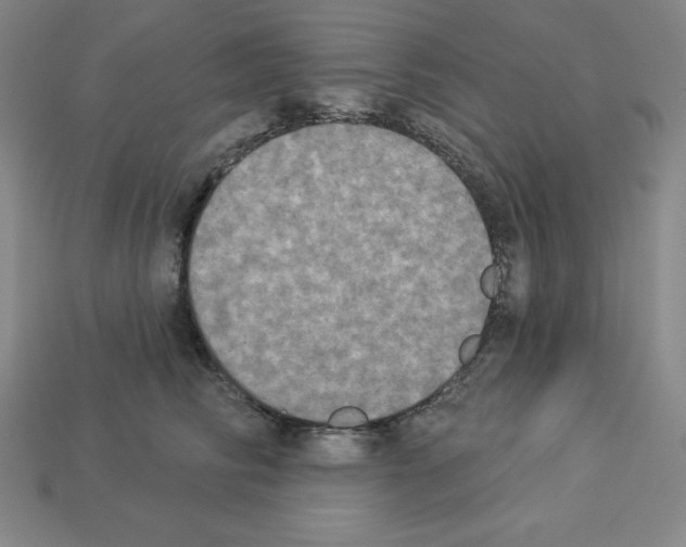 X0000112860710200910021311