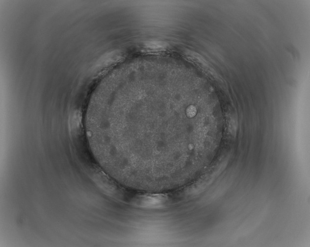 X0000112860711200910021311