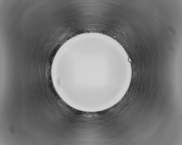 X0000112860712200910021311