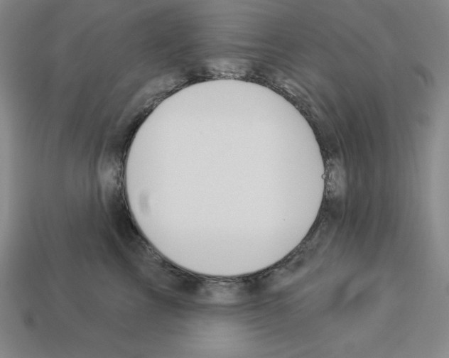 X0000112860713200910021311