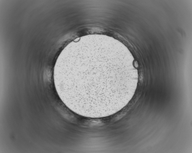 X0000112860715200910021311