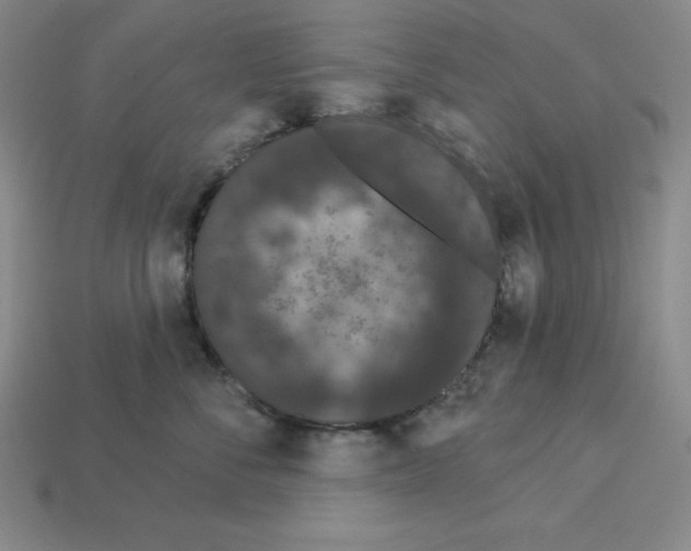 X0000112860716200910021311
