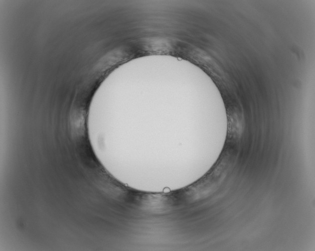 X0000112860717200910021311