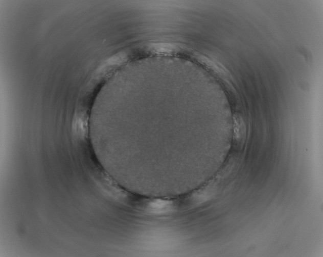 X0000112860718200910021311