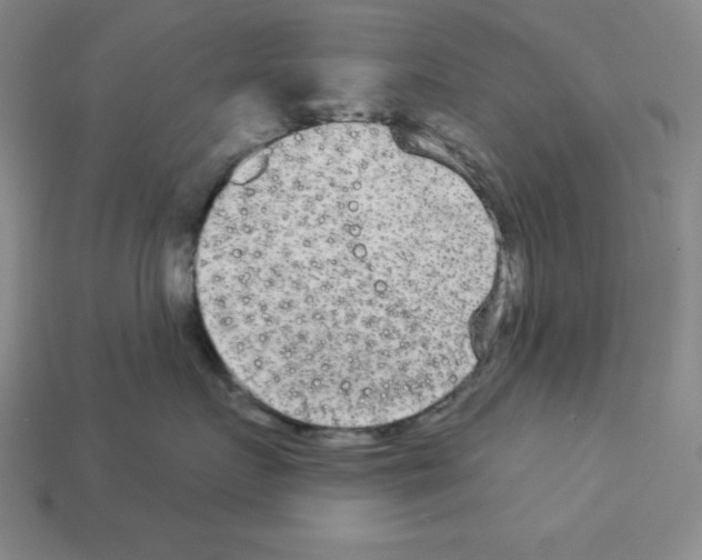 X0000112860719200910021311