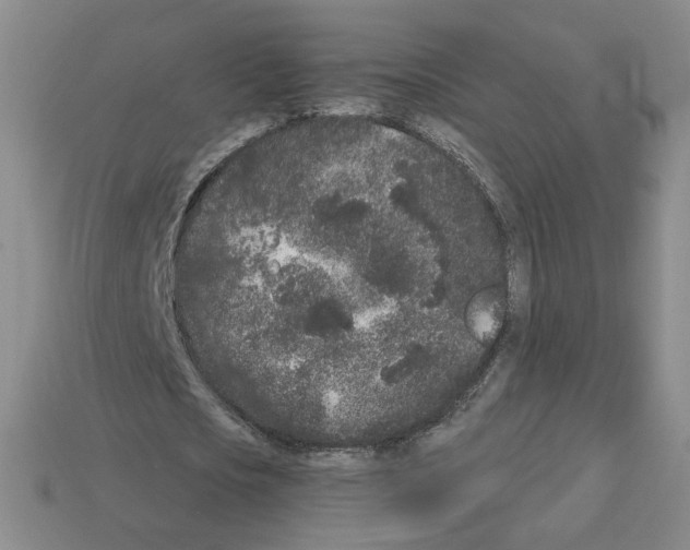 X0000112860721200910021311
