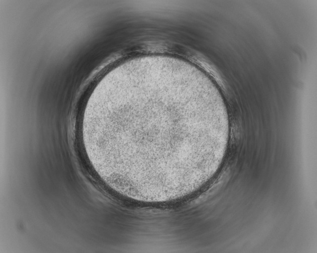 X0000112860722200910021311
