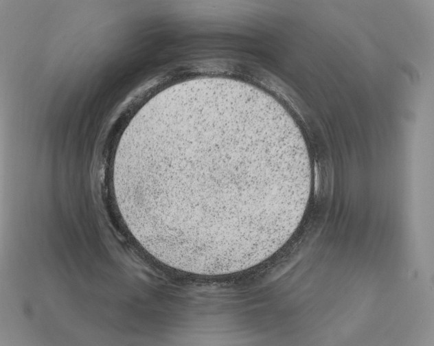 X0000112860723200910021311