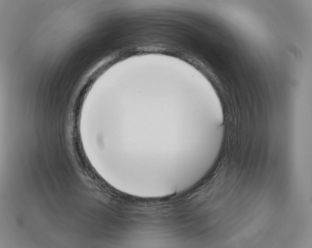 X0000112860724200910021311