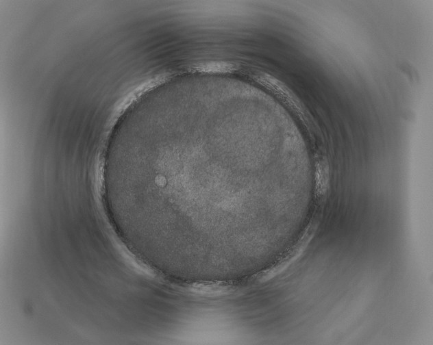 X0000112860725200910021311