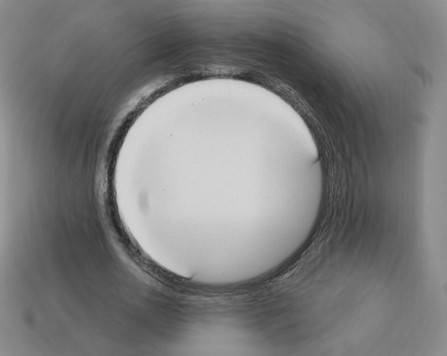 X0000112860726200910021311