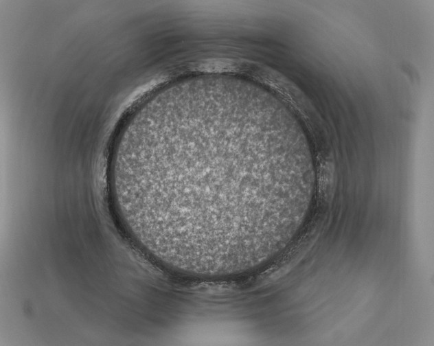 X0000112860727200910021311