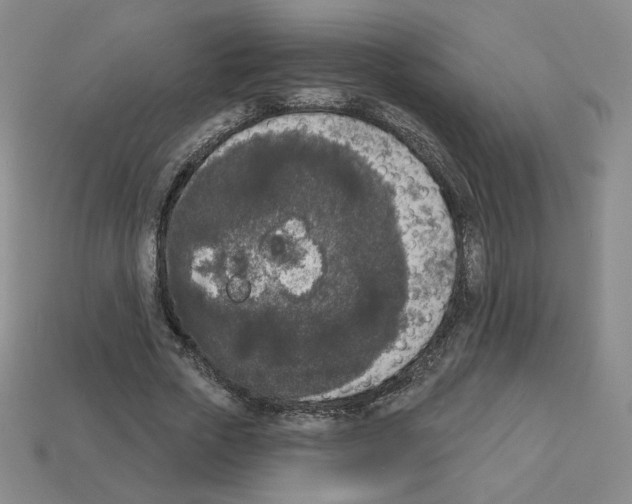 X0000112860729200910021311