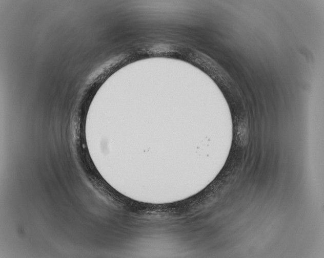 X0000112860732200910021311