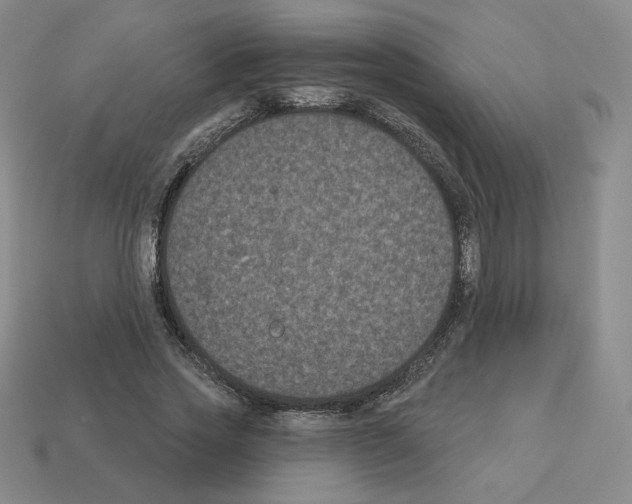 X0000112860733200910021311