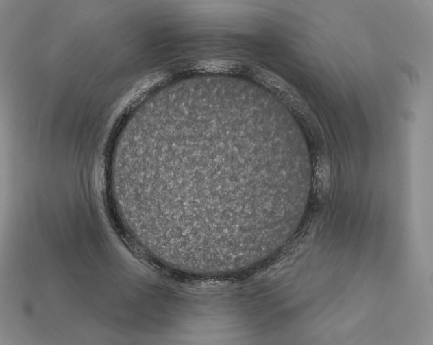 X0000112860734200910021311