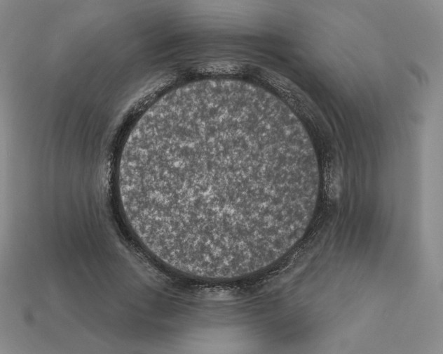 X0000112860735200910021311