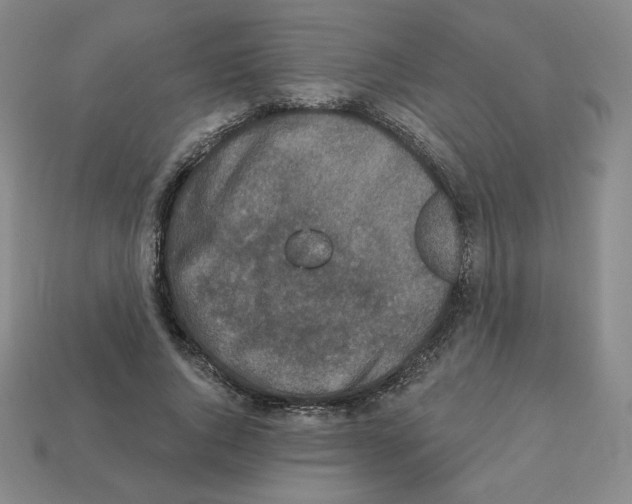 X0000112860736200910021311