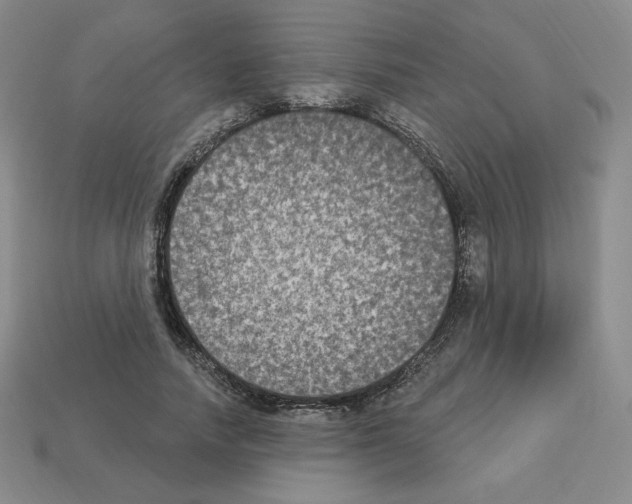 X0000112860738200910021311