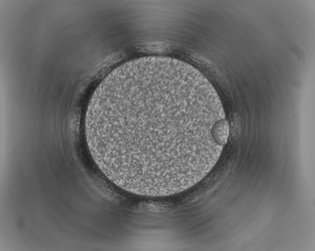 X0000112860739200910021311