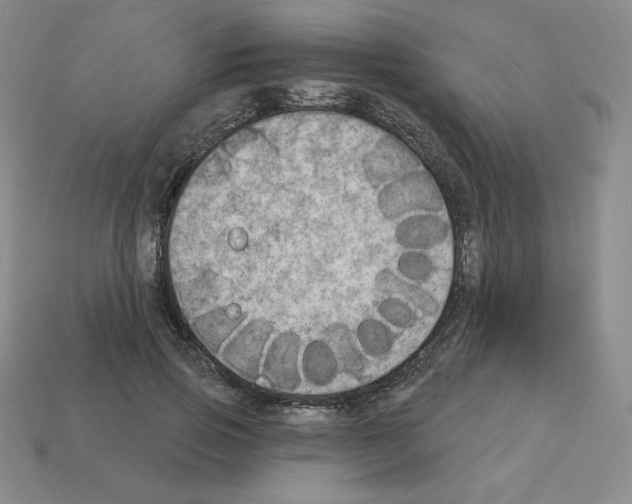 X0000112860741200910021311