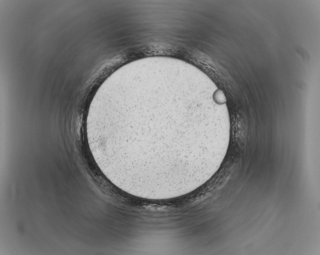 X0000112860742200910021311